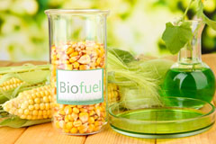 Margate biofuel availability